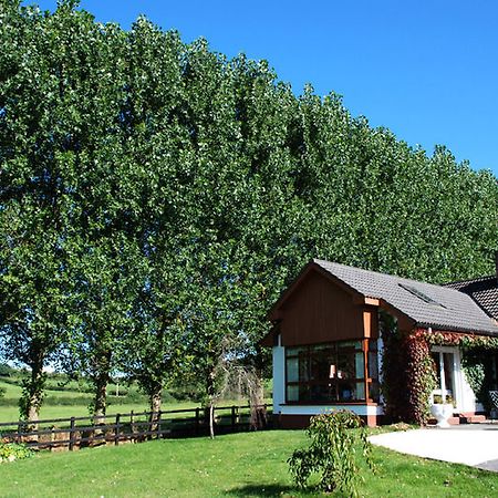 The Bungalow Farmhouse Clomantagh Kültér fotó