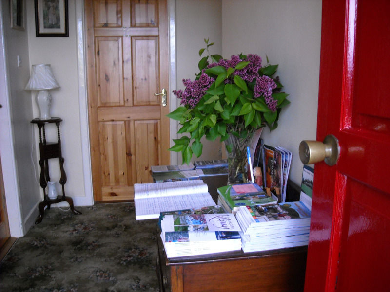 The Bungalow Farmhouse Clomantagh Kültér fotó