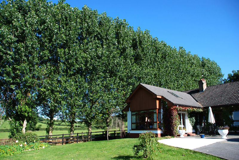 The Bungalow Farmhouse Clomantagh Kültér fotó