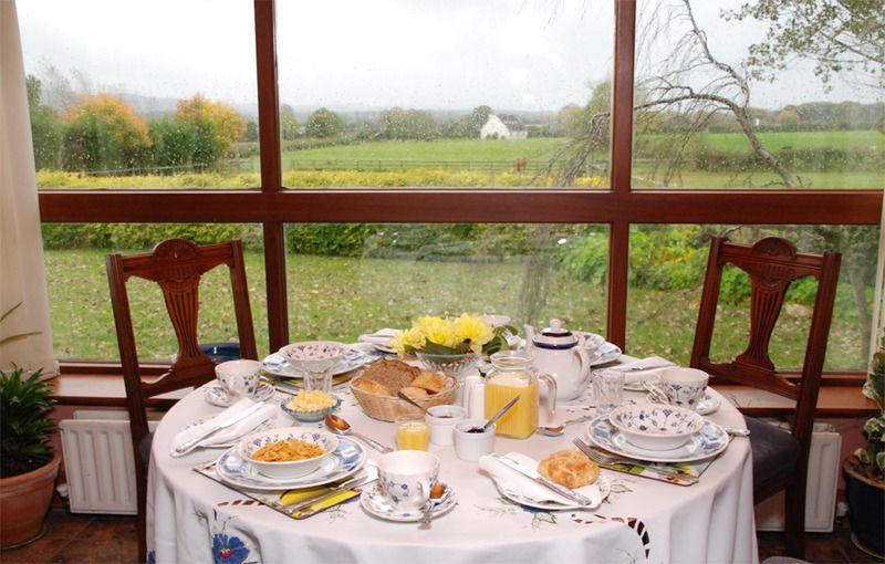 The Bungalow Farmhouse Clomantagh Kültér fotó